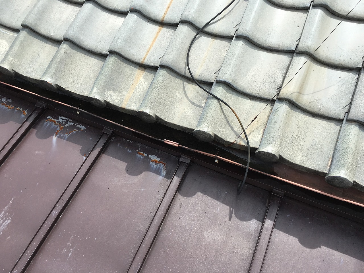 瓦棒　サビ　門真市