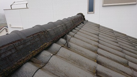 スポンジ面戸飛び出し