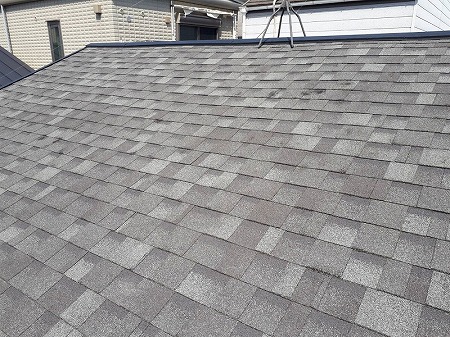 リッジウェイ葺上工事完了