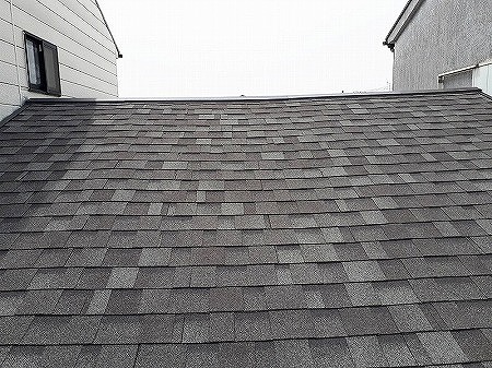 リッジウェイ葺替工事後