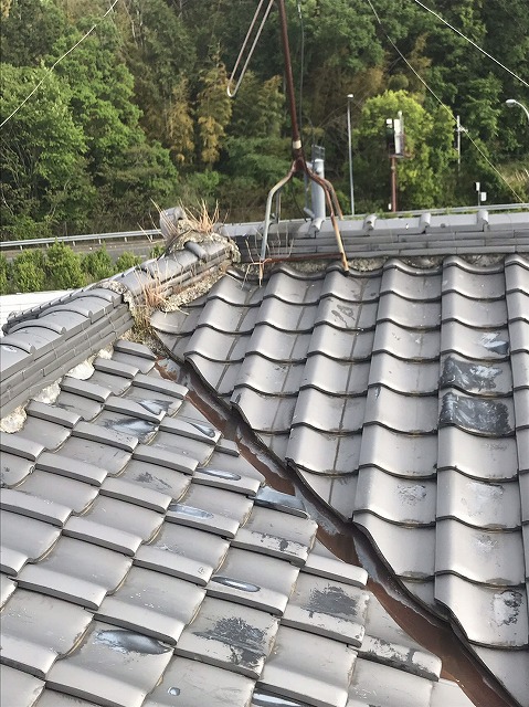 【枚方市】「雨漏りが止まらない」立派な瓦屋根の調査で見えた意外な原因とは？