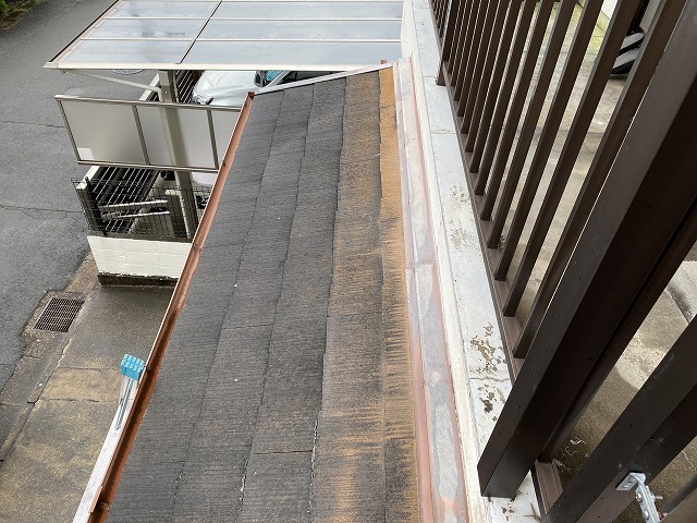 ベストコケ　寝屋川市