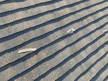 カラーベスト踏み割れ多数