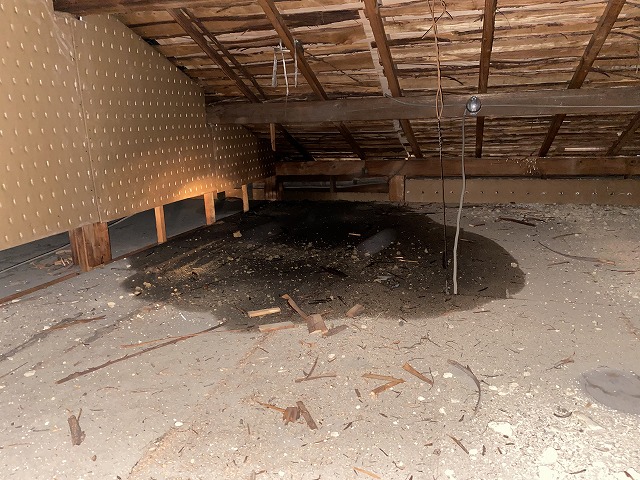 天井裏　大東市