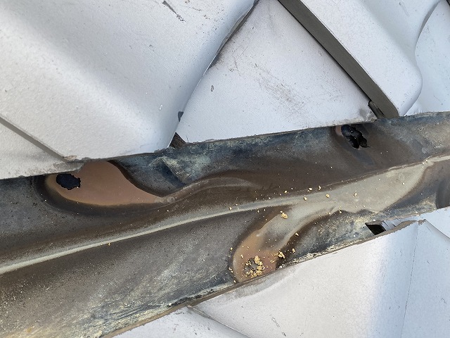 谷腐食　大東市