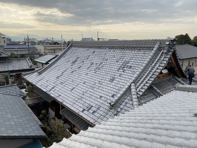 【寝屋川市】格式あるお寺の屋根点検を実施。台風被害と漆喰剥がれから守るプロの目線