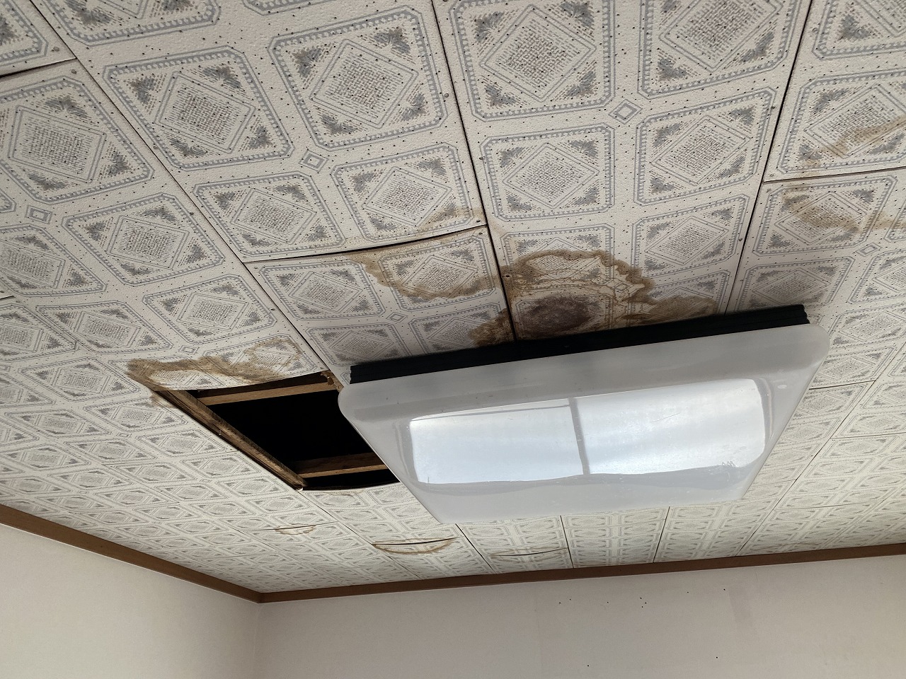 雨漏り　寝屋川市