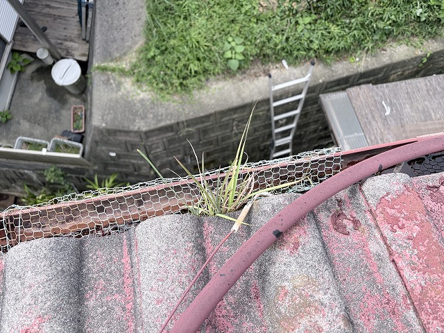 軒樋　枚方市