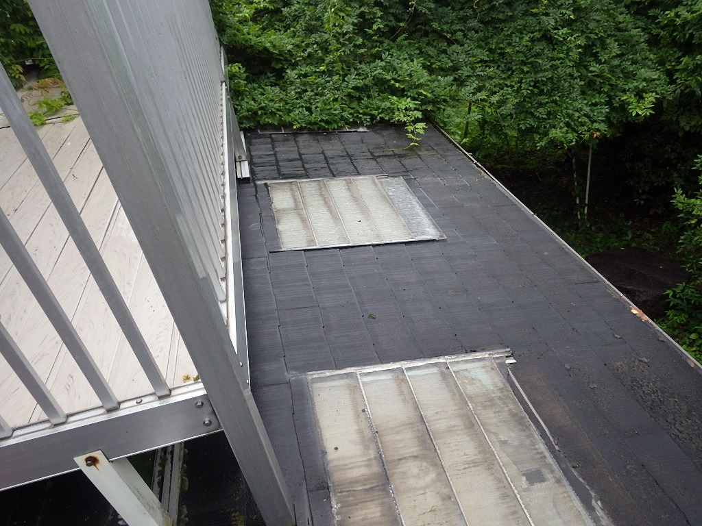 雨の寝屋川市で屋根点検！見えてきた塗装の限界と賢い補修プラン