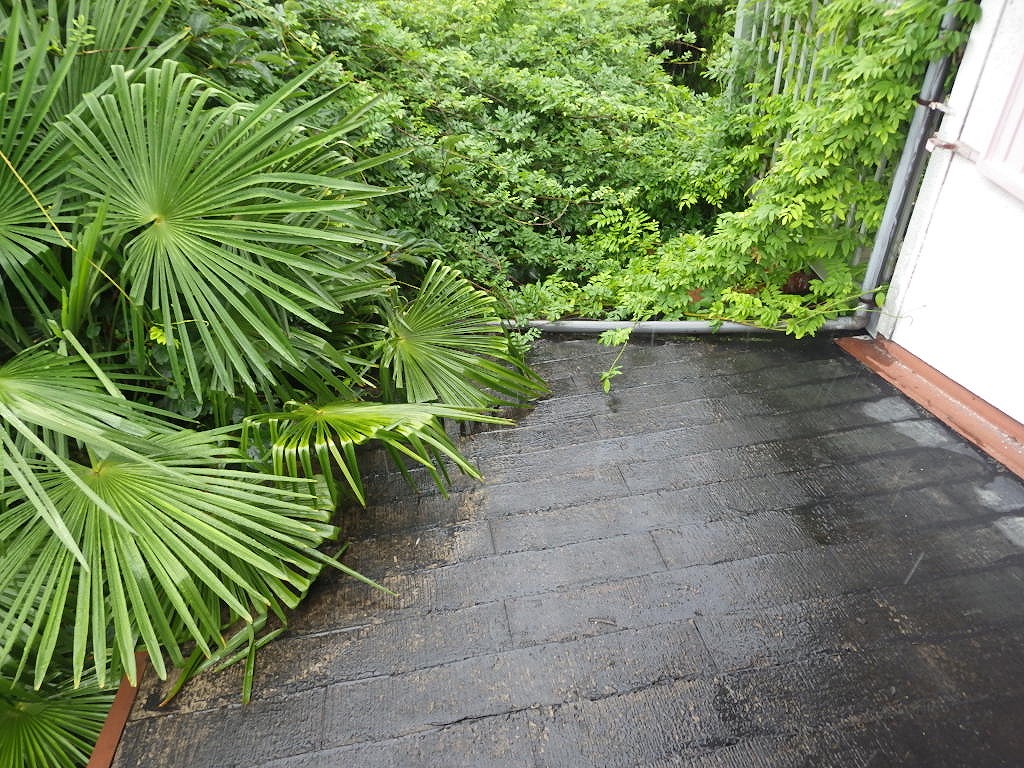 カラーベスト　寝屋川市