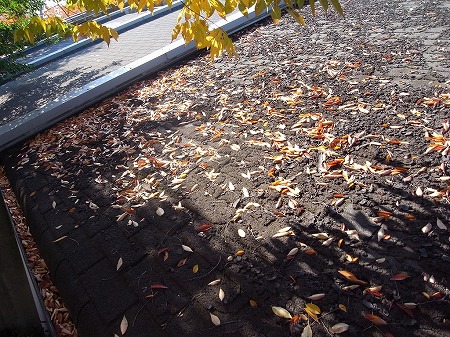 シングルの表面が劣化してボコボコ