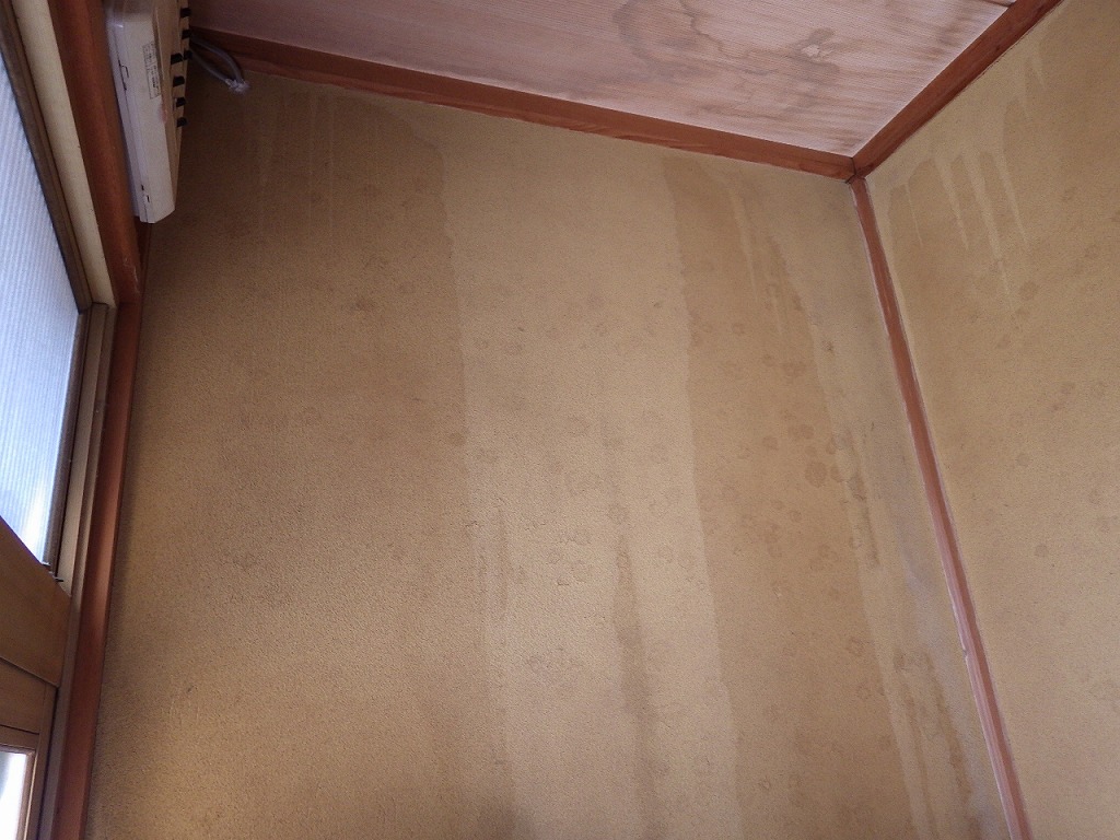 雨染み　門真市