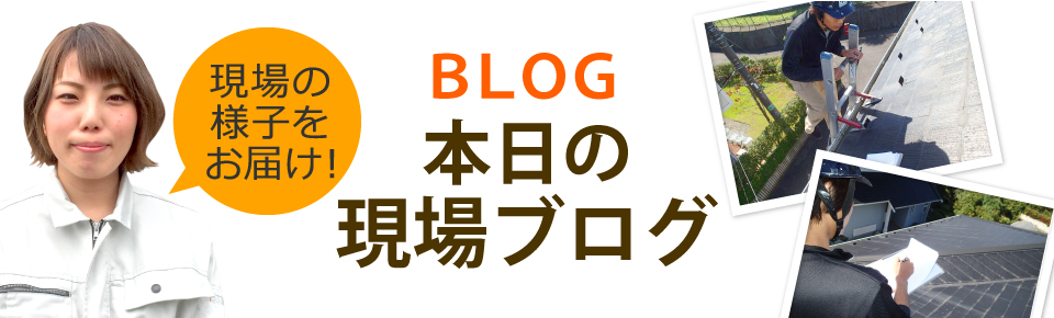 門真市、大阪市、寝屋川市、守口市やその周辺エリア、その他地域のブログ