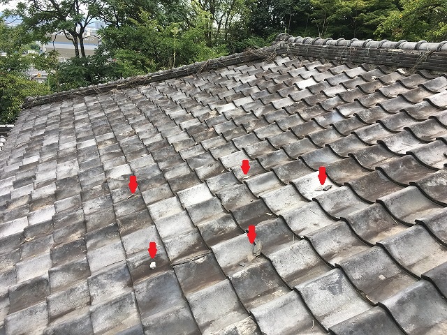 和瓦の凍て割れ