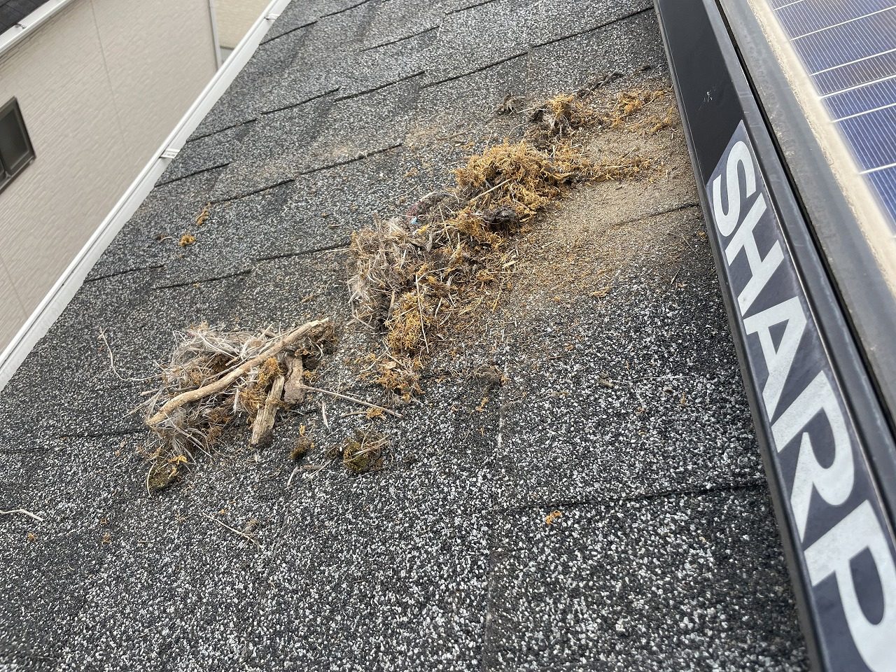 交野市　屋根上のソーラーパネルの隙間に鳥の巣が・・・対策工事！！