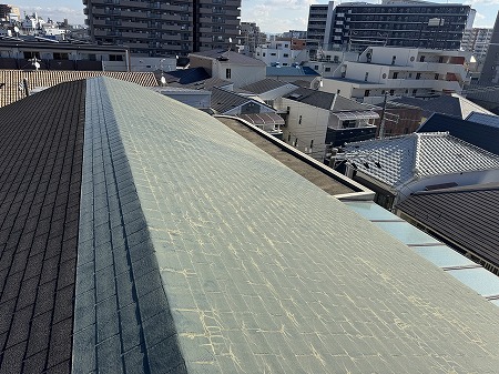 マンション屋根全景