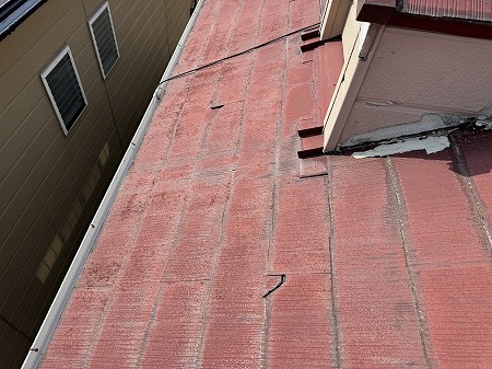 カラーベスト踏み割れ